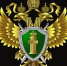 Прокуратура на страже прав инвалидов - Химские новости