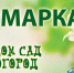Подведены итоги ярмарки «Дом-Сад-Огород» в Одинцово - Химские новости