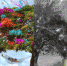 Минэкологии: Ярмарка экологических проектов выходит на финишную прямую - Химские новости