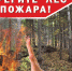Вниманию химчан! Памятка по лесным пожарам - Химские новости