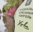 6832d88c-d80b-4f18-8d3f-bda720da1e0d.jpeg - Химские новости