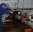 872a19e4-ffd1-4e61-b876-70716c5c7bb3.png - Химские новости