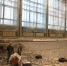 2022-03-01_11-16-34.png - Химские новости