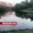 Анализ воды показал загрязнение Барашкинского пруда в Химках неочищенными стоками - Regions.Ru