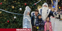Пассажиры аэропорта Шереметьево рассказали свои желания главному волшебнику страны - Regions.Ru