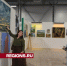 Бизнес-леди из Химок удивили своими творческими способностями - Regions.Ru