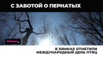 В Химках отметили международный День птиц