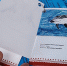 Дети подготовили карманную Красную книгу и стали победителями конкурса в Химках - Regions.Ru