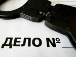 СК: в отношении напавшего на ребенка в Шереметьево возбуждено уголовное дело