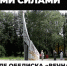 Возле обелиска «Вечная слава» высадили молодые кустарники - АО Химки-СМИ