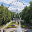 В парке им. Толстого завершается масштабное обновление - Regions.Ru