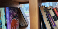 Не парк, а библиотека под открытым небом: в Химках создали пространство с книгами и гамаками - Regions.Ru