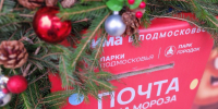 Праздничный запуск Почты Деда Мороза в Подрезково пройдет 6 декабря - Regions.Ru