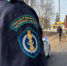 Ущерб подсчитан, иск подан: химкинскому предпринимателю грозит штраф за свалку на участке - Regions.Ru