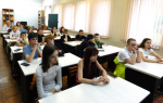 Летний  муравейник