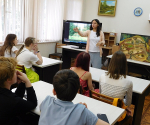 Летний  муравейник